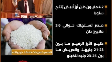 مخزون مصر الاستراتيجي من الأرز يضمن تلبية احتياجات السوق حتى نوفمبر المقبل